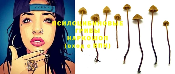 прущие крисы Алексеевка