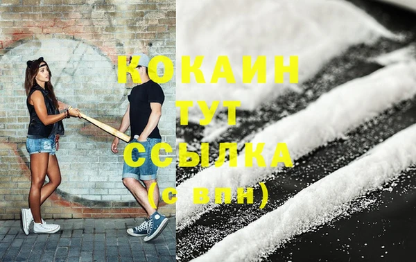 прущий лед Алзамай