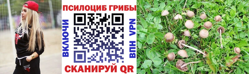 Псилоцибиновые грибы Psilocybine cubensis  где найти наркотики  Кольчугино 